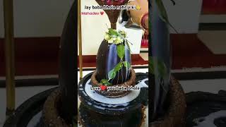 Love❤ you baba bhole❤ Jay baba bhole naht ji ki🙏 Jay baba Valmiki ji ki🙏