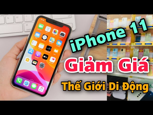 Cập nhật giá iPhone 11 tại Thế Giới Di Động | Quyền GBox