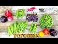 Обзор сортов зелёного горошка/ Вкусные сорта/ 5 сортов для Московской области/