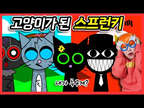 스프런키 고양이모드...! 반전 비밀이 발견함!! 👀