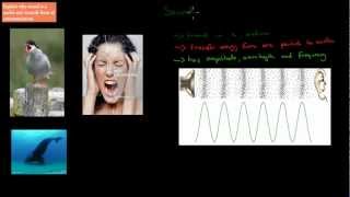 C.5.1. Sound and Communication (HSC biology)