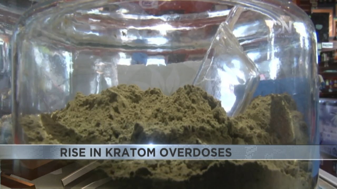 В округе Пима зафиксирован рост числа передозировок кратомом
