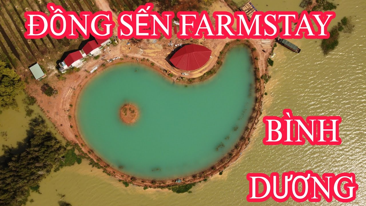 ĐỒNG SẾN FARMSTAY - DẦU TIẾNG BÌNH DƯƠNG I TVQ VIET NAM - youtube