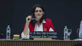 19th session of the Intergovernmental Committee - Floor - 5 December 2024 - pt7part2