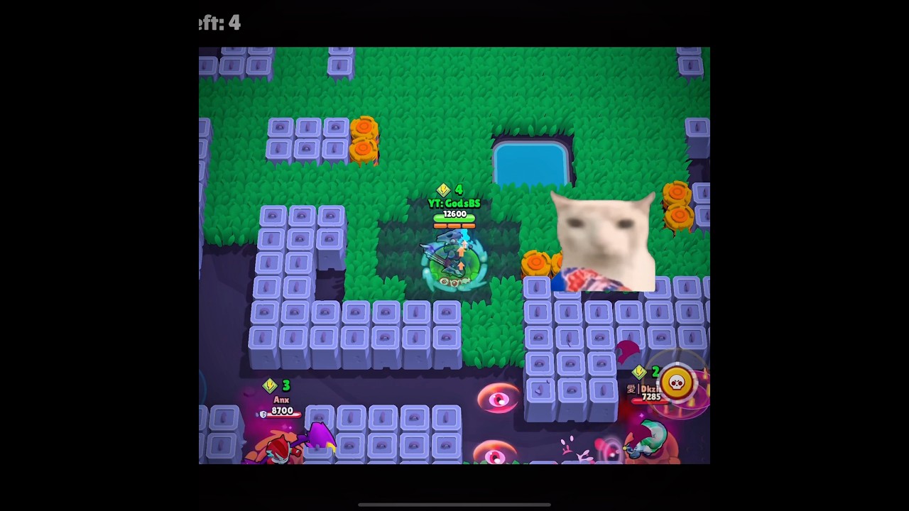 Absolute cinema fight 😳