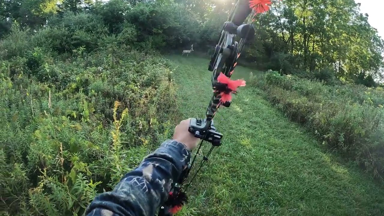 3D Archery with the Oneida Phoenix!