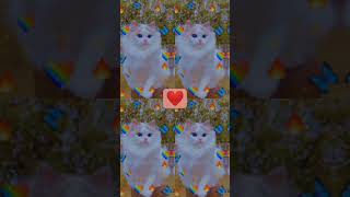 maaf ya guys kali kali ini aku jarang online maaf banget ya kalian mau ma afin aku nggak guys please