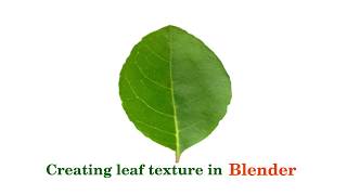 How to create a leaf texture in Blender