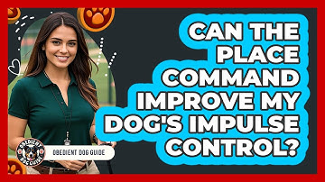 Can The Place Command Improve My Dog