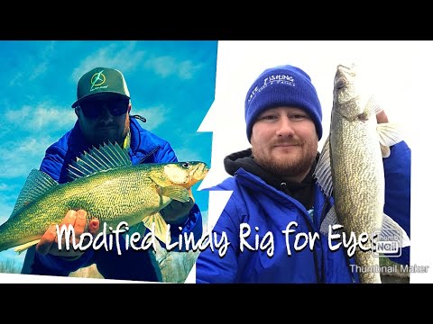 Modified Lindy Rig for Walleyes 
