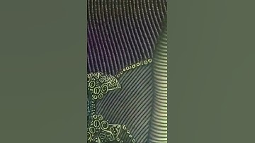 CUTE YET CREEPY | AI Art | AI Animation | AI Video | Stable Diffusion Video | Text to Video AI