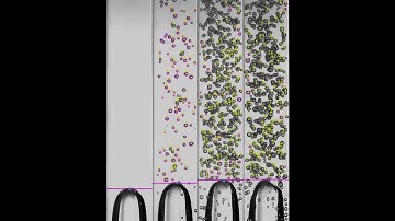 DEVELOPMENT OF HIGH-SPEED IMAGE PROCESSING TECHN. FOR THE STUDY OF GAS-LIQUID FLOW IN VERTICAL PIPES