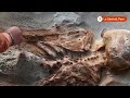 Peruvian temple offers clues into 3,000-year-old human sacrifices | REUTERS