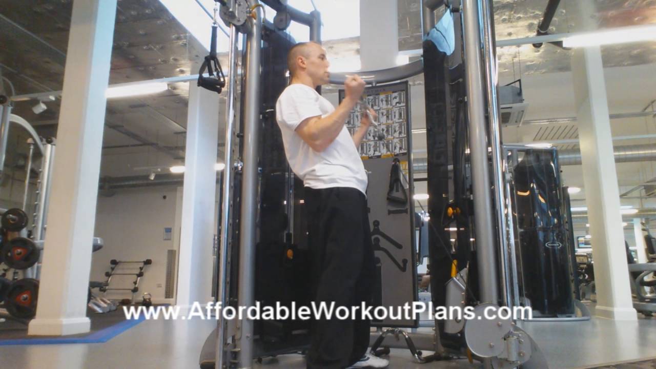 exercise 14.1 class 11 Cable Biceps Curl with Bar (biceps exercise)