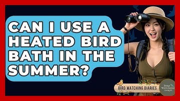 Can I Use A Heated Bird Bath In The Summer? - Bird Watching Diaries