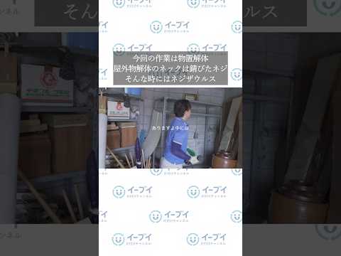 【実家の片付け】厄介な「物置解体」を1人で安全に終わらせるコツ #物置解体 #実家の片付け #DIY女子 #片付けのコツ #イーブイ