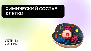 Урок 1. Химический состав клетки