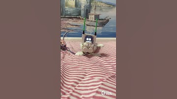 Taming a robot dog isn’t easy! Animated eyes with OLED display and ESP32 #esp32 #arduino #dog