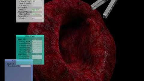 Realtime soft tissue rendering and simulation