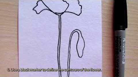 Draw a Beautiful Poppy - DIY Crafts - Guidecentral