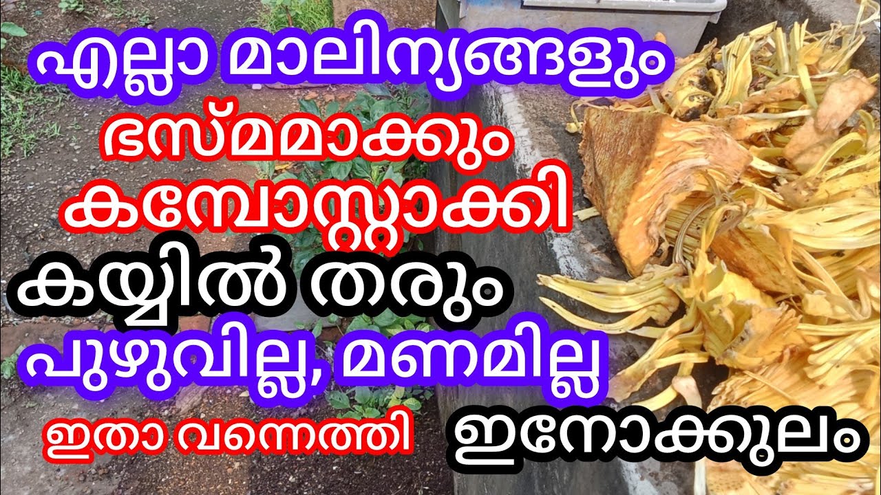 365ദിവസവും കമ്പോസ്റ്റ് എടുത്തുകൊണ്ടേയിരിക്കാം, a1luckylifemedia