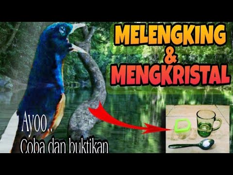 Video: Apa yang melengking dari batu?