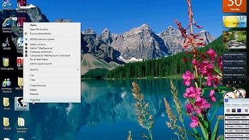 How To Instal The Cheats For Max Payne 1
