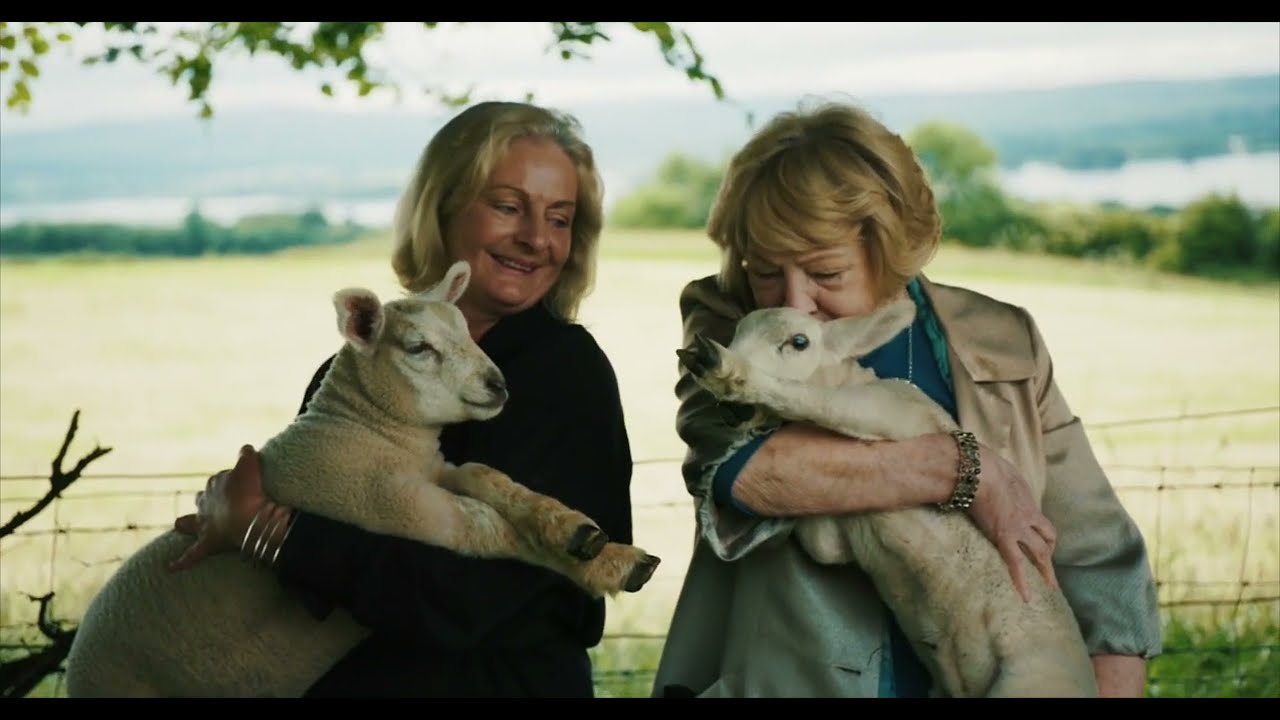 Field Exchange | Creative Climate Action