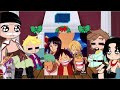👒 Whitebeard Pirates Luffy Family One Piece Characters react to Luffy 👒 Gacha 👒 Compilation