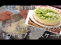 【キウイレアチーズケーキ】本当に誰でもできるの!?魂と涙のお料理キッチン!!!!!