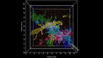3-D visualization of Brainbow mouse hippocampus