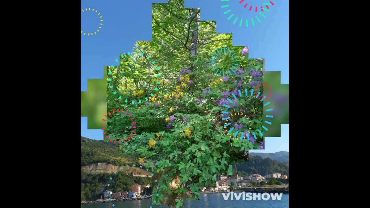 Kastamonu Doganyurt Haskavak köyü