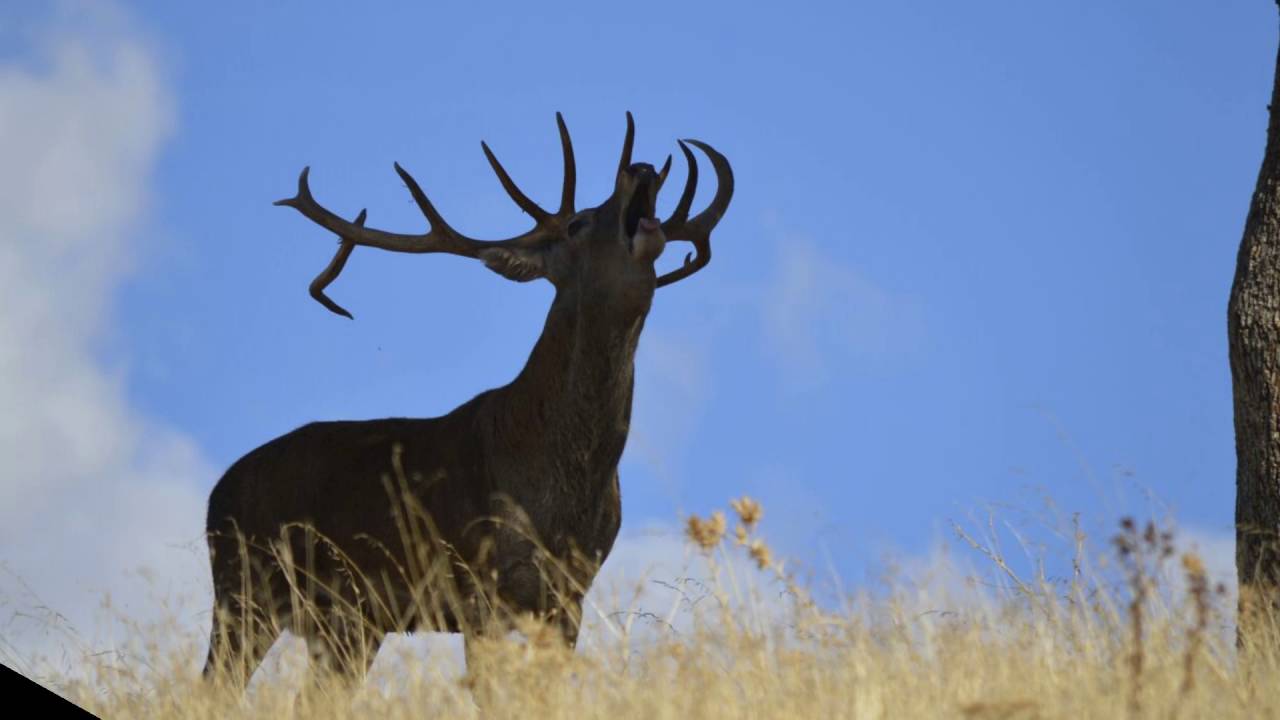 TURISMO VILLANUEVA DE LA FUENTE