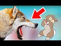 Симулятор ВОЛКА - THE WOLF / Жизнь диких зверей онлайн прохождение игры