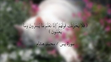 (فَلَا يَحْزُنكَ قَوْلُهُمْ ۘ إِنَّا نَعْلَمُ مَا يُسِرُّونَ وَمَا يُعْلِنُونَ)سورة يس محمد هشام
