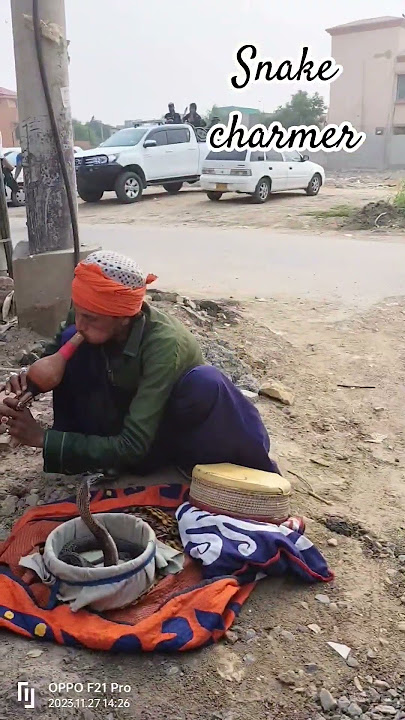 Snake Charmer /after School Fun #snake #cr7 #cr7fans #karachi