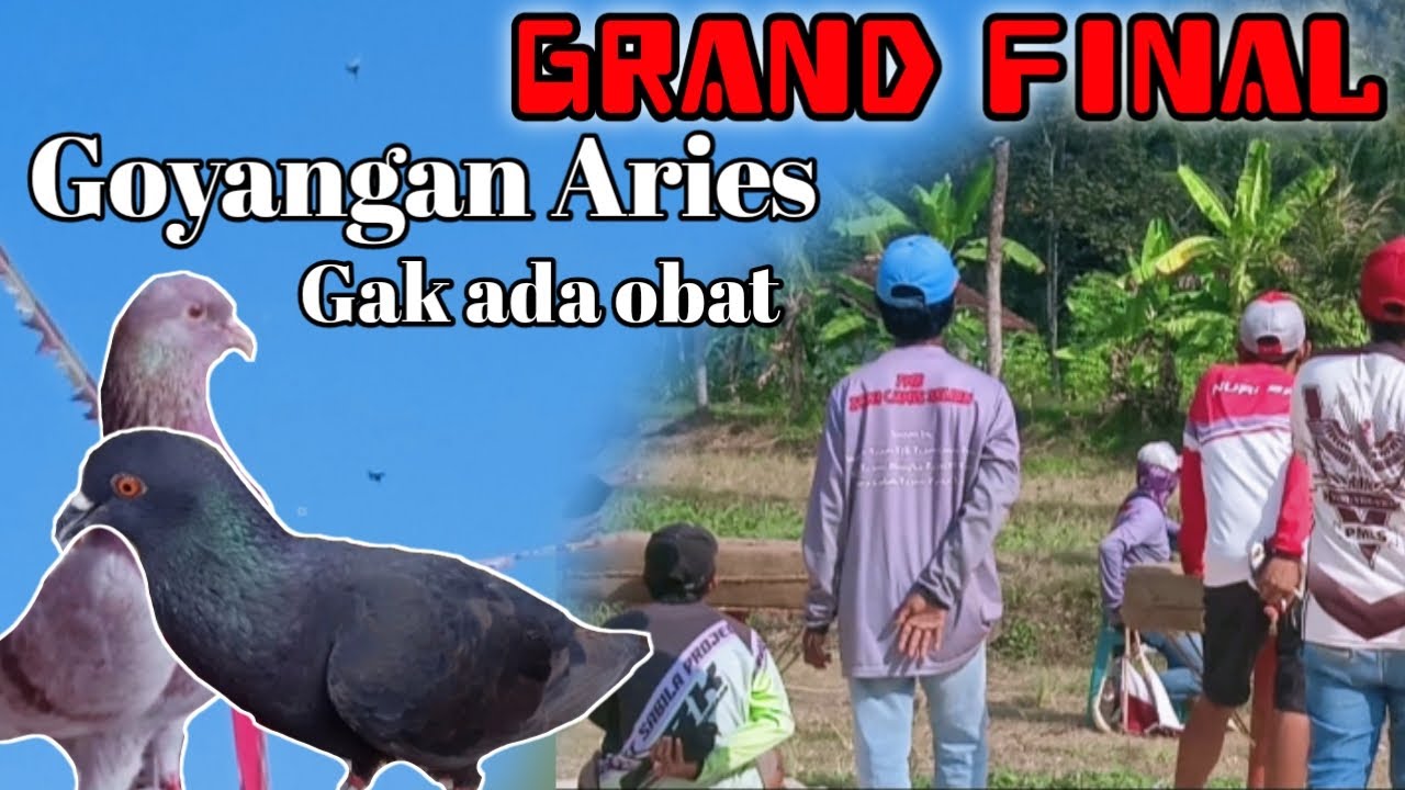 Total 20 juta lapak pemalas karang kendang zona Banjarsari
