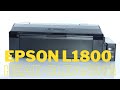 how to clean printer head epson l1800