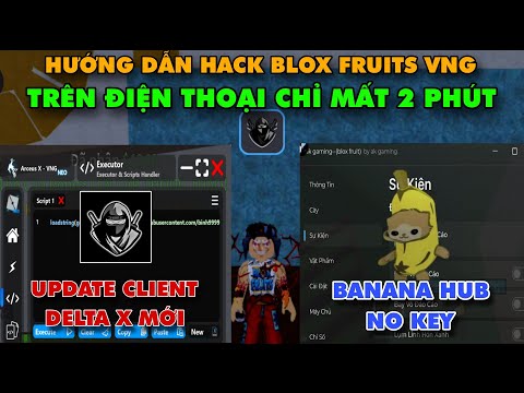 Hướng Dẫn Hack Blox Fruits 22 DELTA X VNG Mới Nhất Trên Điện Thoại – Cập Nhật Clinet Mới Vip Như Delta X