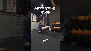 Master Mobility Monday - L-sit #mobility #mobilitytraining #lsit #movementskills