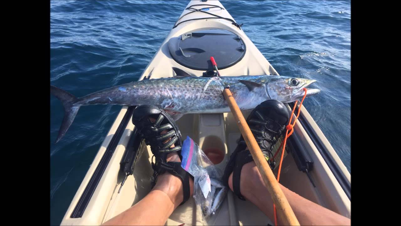 Navarre Florida Fishing Trip Episode 2 YouTube