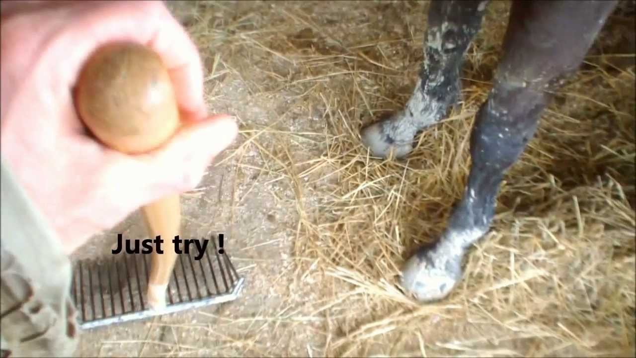1280px x 720px - Showing Porn Images for Horse pees human porn | www.porndaa.com