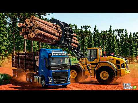 LOGGING IN BIG PARANÁ - FARMING SIMULATOR 25 - EP 43 (PARANAZÃO)