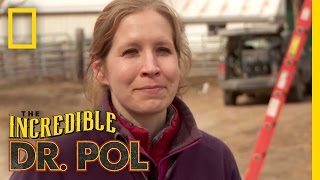Polments: Dr. Emily's Dairy Swing Plunge | The Incredible Dr. Pol