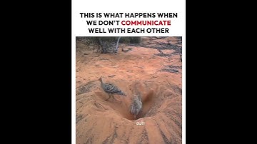 This is what happens when we don