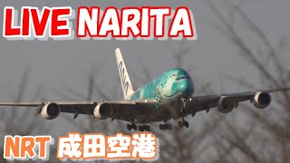 🔴LIVE at NARITA International Airport Plane Spotting　2024.05.24　成田空港ライブカメラ 成田空港　NRT/RJAA