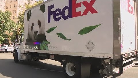 Giant pandas return to National Zoo in DC