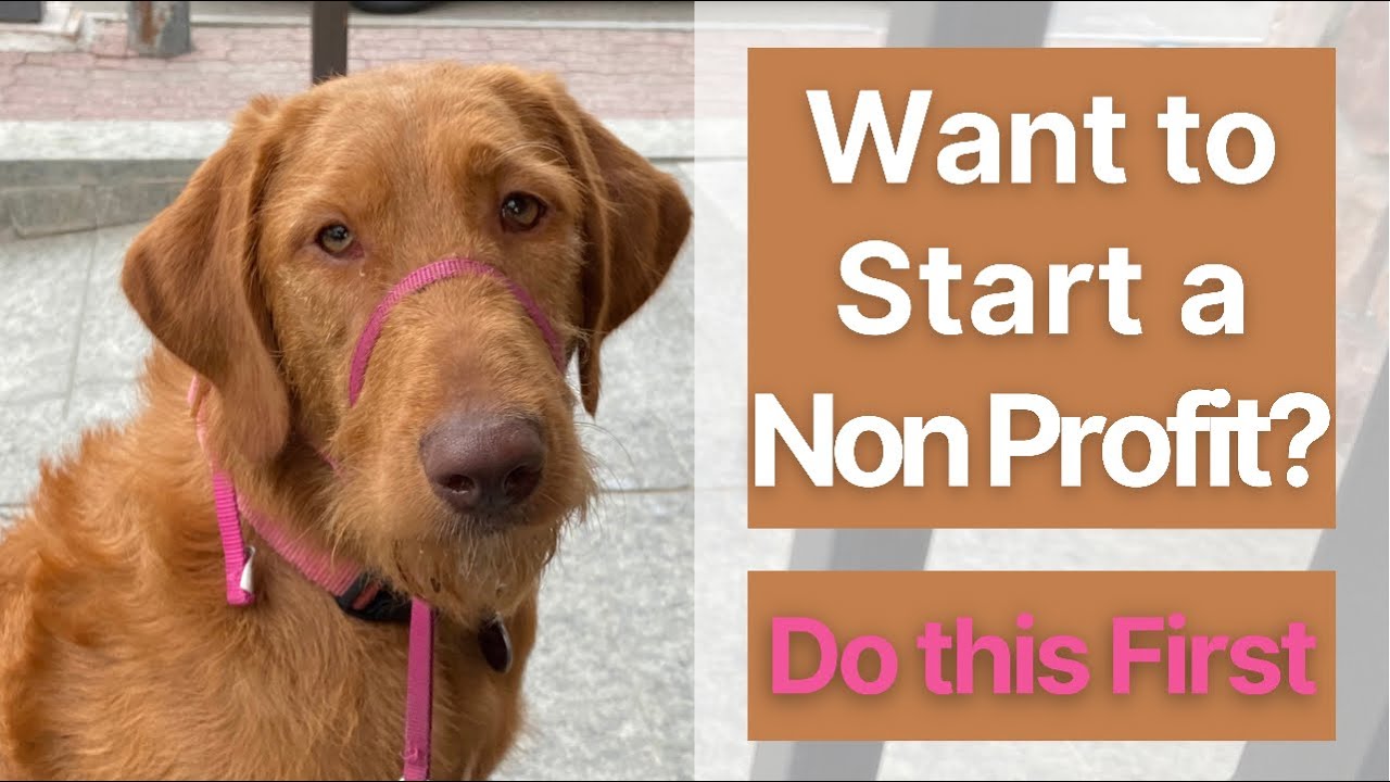 I started a Non Profit with these 5 steps | How to Start a 501c3 - YouTube