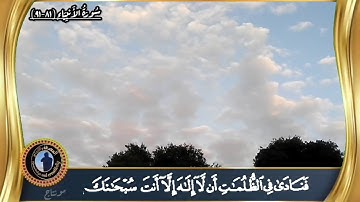 ﴿وَأَيّوبَ إِذ نادى رَبَّهُ أَنّي مَسَّنِيَ الضُّرُّ وَأَنتَ أَرحَمُ الرّاحِمينَ﴾ سورة الانبياء