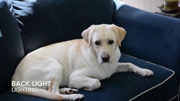 COM128 -  Module 4-2: Video Assignment